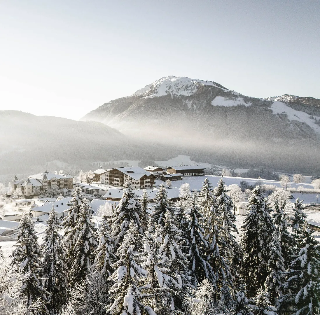Verschneite Berglandschaft in Tirol bei Kitzbühel mit schneebedeckten Tannen und einem Berg im Hintergrund.