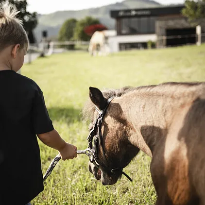 Kind führt ein Pony auf einer Weide bei sonnigem Wetter.