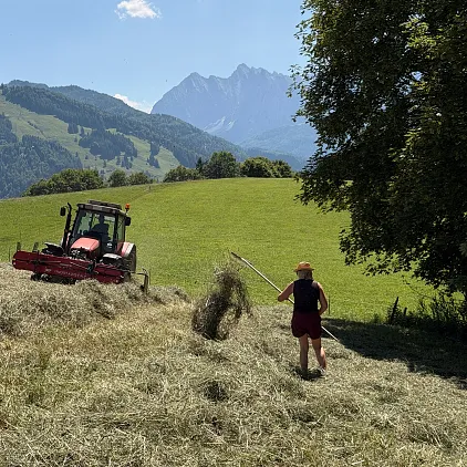 Bäuerin mit Strohhut arbeitet mit Heugabel auf Wiese, Traktor im Hintergrund, Berge von Tirol sichtbar.