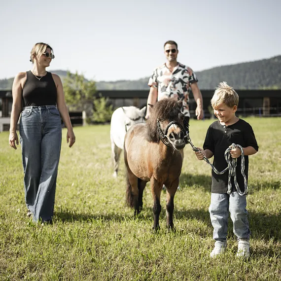 Ein Kind führt ein Pony auf einer Wiese, begleitet von zwei Erwachsenen in einer ländlichen Umgebung.