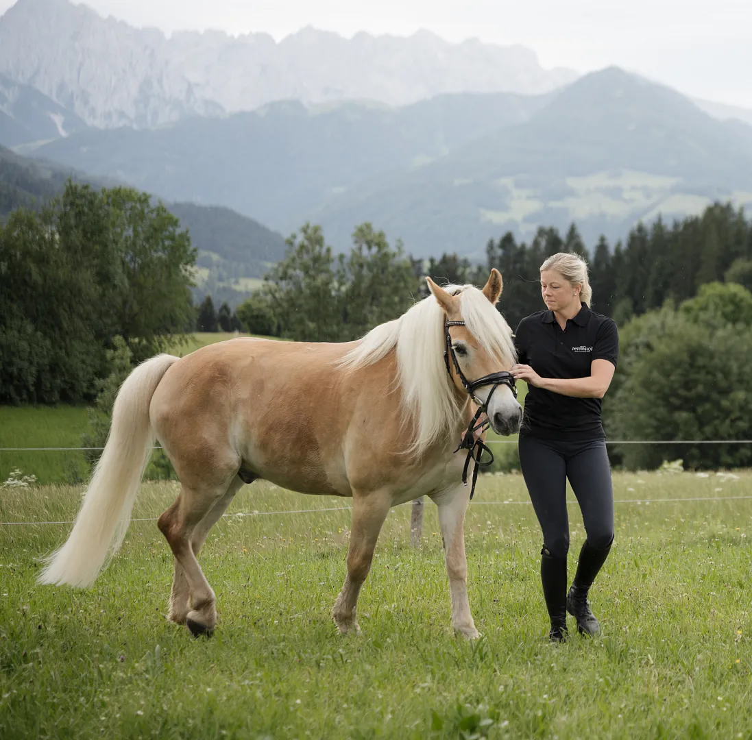 Person in schwarzem Shirt führt ein blondes Pferd auf einer Wiese vor Bergkulisse in Tirol.