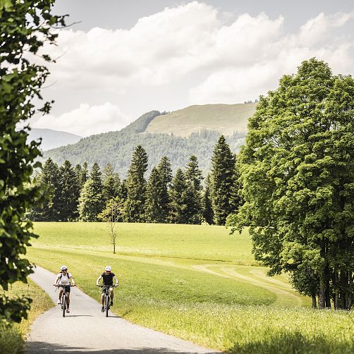 Zwei Radfahrer auf einem Weg durch eine grüne Landschaft mit Bergen im Hintergrund.
