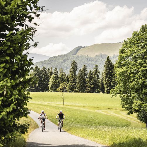 Zwei Radfahrer fahren auf einem Weg durch eine grüne Landschaft mit Bäumen und Bergen im Hintergrund.