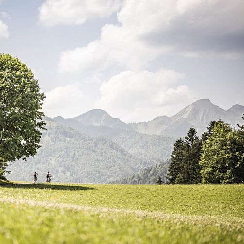 Zwei Radfahrer auf einem Feldweg vor einem Bergpanorama in Tirol.