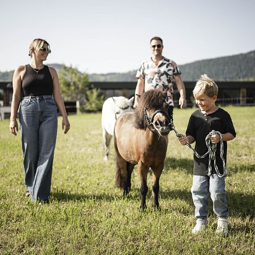 Kind führt ein Pony an der Leine, begleitet von zwei Erwachsenen auf einer Wiese.