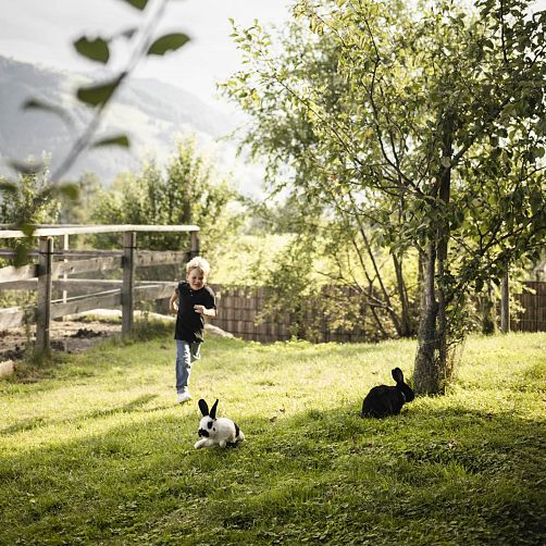 Ein Kind läuft durch einen sonnigen Garten mit Gras, zwei Kaninchen sind in der Nähe eines Baumes in Tirol.